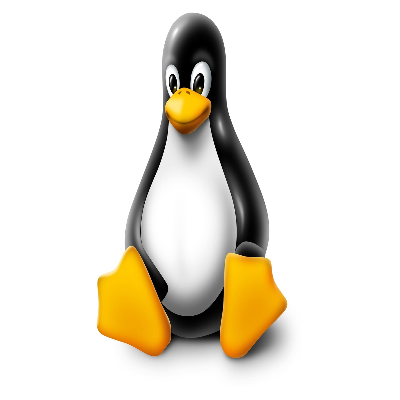 Linux Logo 1